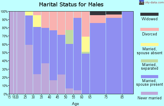 Zip code 98576 marital status for males