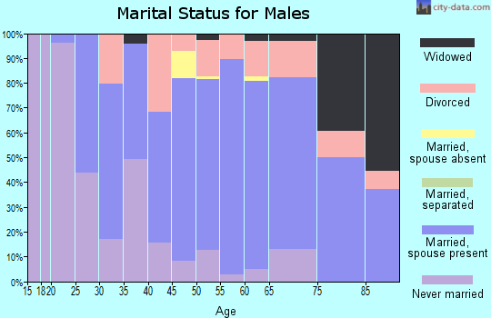 Zip code 98577 marital status for males