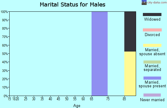 Zip code 98581 marital status for males
