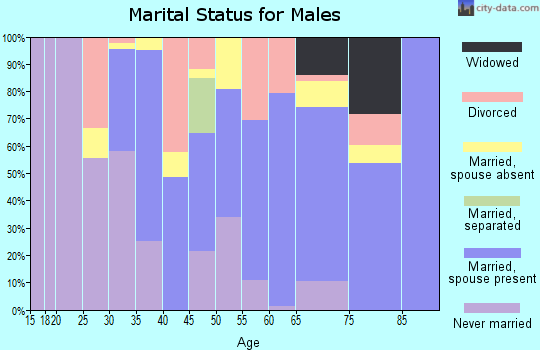 Zip code 98586 marital status for males