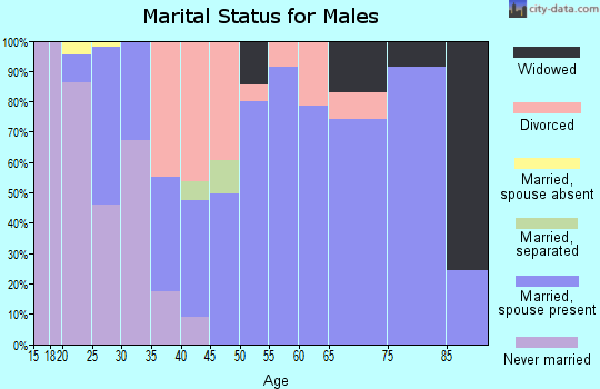 Zip code 98591 marital status for males