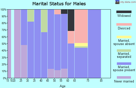 Zip code 98593 marital status for males