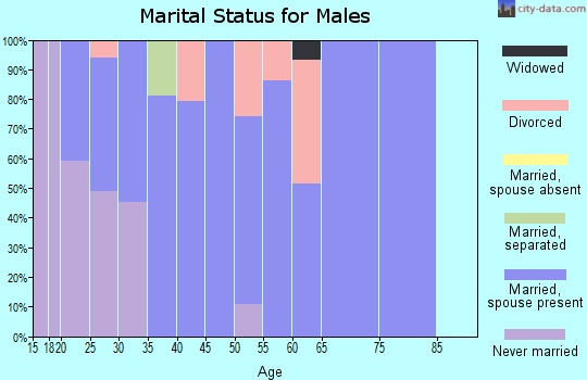 Zip code 98601 marital status for males