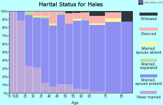 Zip code 98604 marital status for males