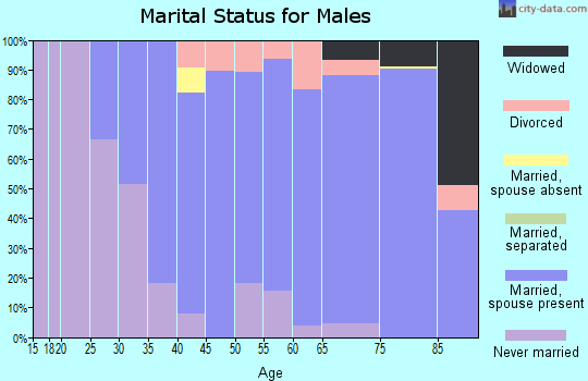 Zip code 98606 marital status for males