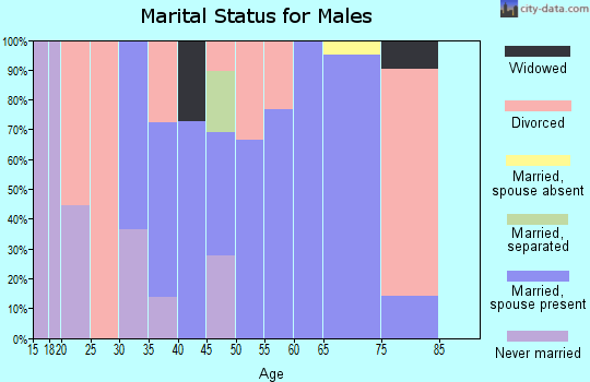 Zip code 98613 marital status for males