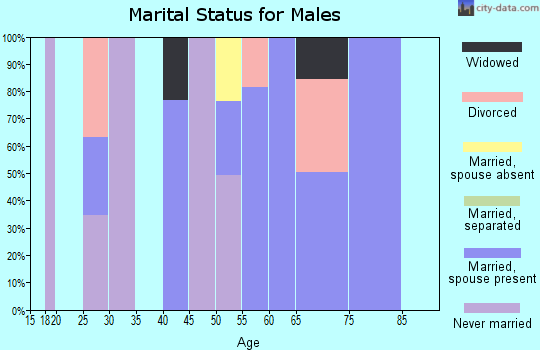 Zip code 98617 marital status for males