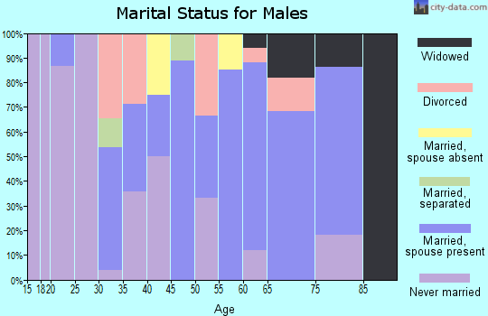 Zip code 98619 marital status for males