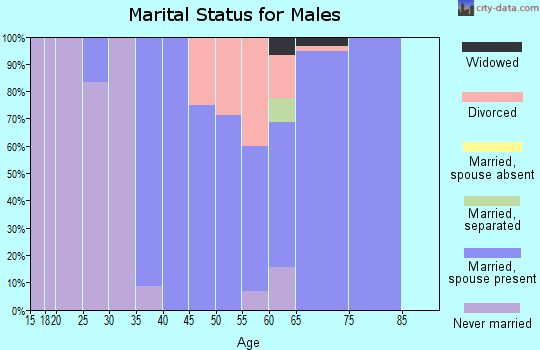 Zip code 98635 marital status for males
