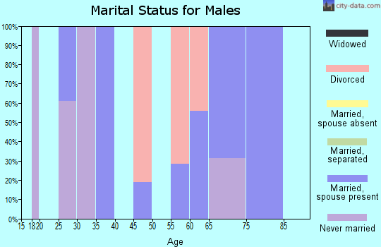 Zip code 98643 marital status for males