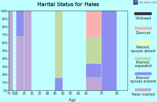 Zip code 98647 marital status for males