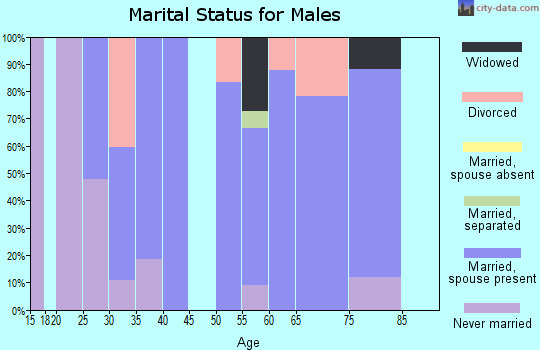 Zip code 98650 marital status for males