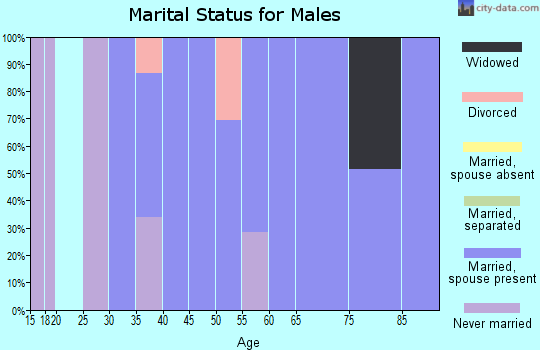 Zip code 98651 marital status for males