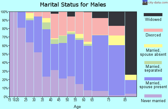 Zip code 98663 marital status for males