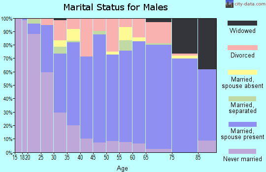 Zip code 98665 marital status for males