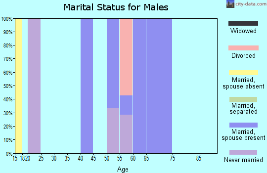 Zip code 98670 marital status for males