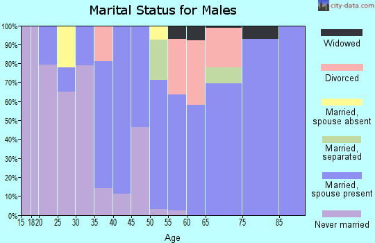 Zip code 98672 marital status for males