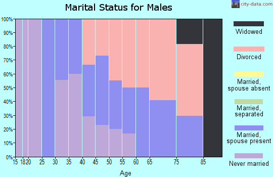 Zip code 98673 marital status for males