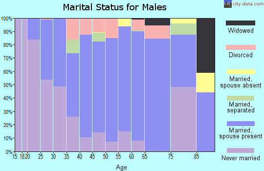 Zip code 98674 marital status for males