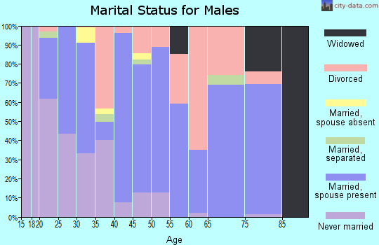 Zip code 98675 marital status for males