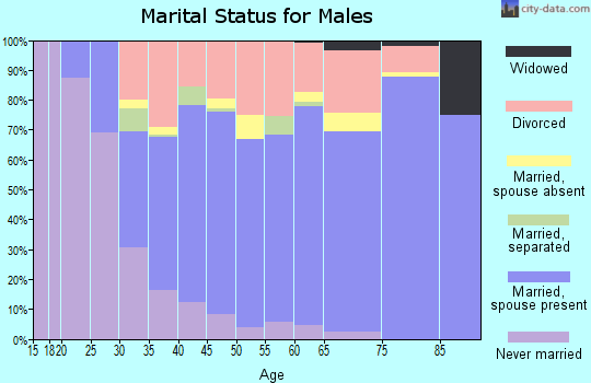 Zip code 98684 marital status for males