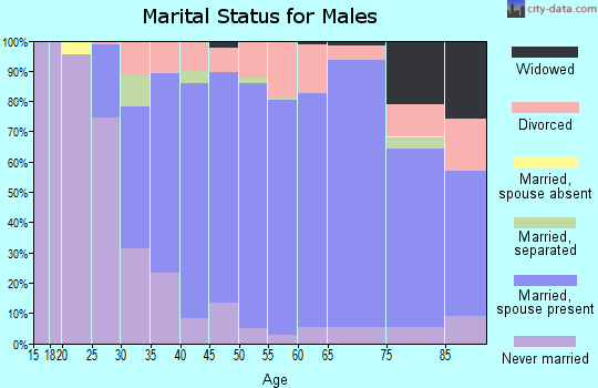 Zip code 98685 marital status for males