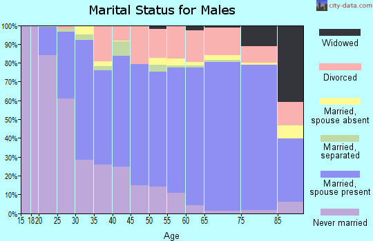 Zip code 98801 marital status for males