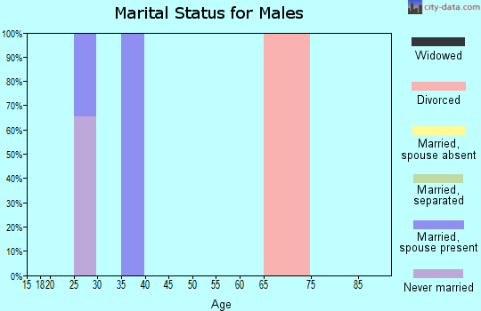 Zip code 98811 marital status for males