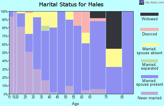Zip code 98813 marital status for males
