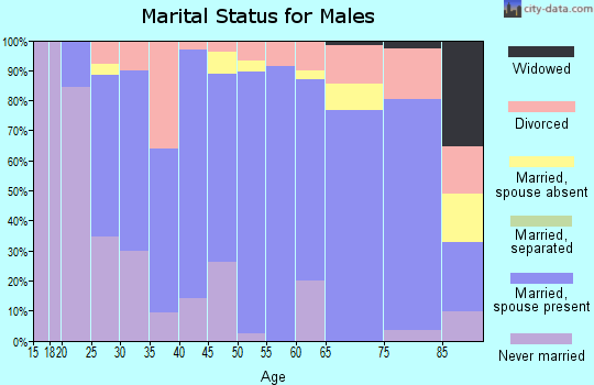 Zip code 98815 marital status for males