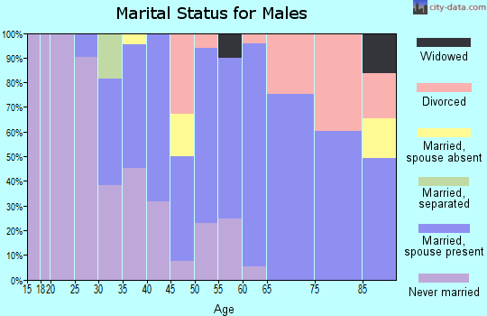 Zip code 98816 marital status for males