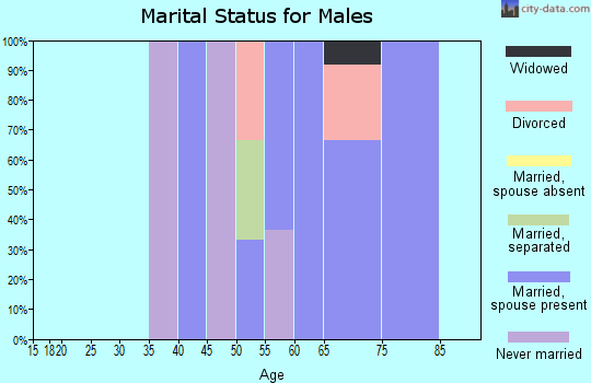Zip code 98819 marital status for males