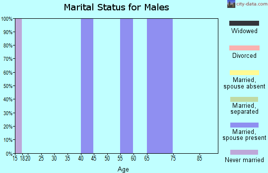 Zip code 98821 marital status for males