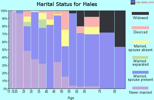 Zip code 98823 marital status for males