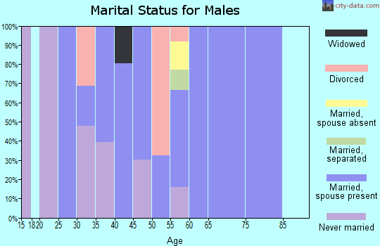 Zip code 98828 marital status for males