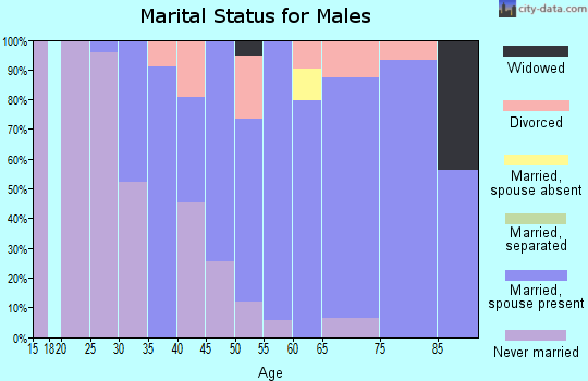 Zip code 98831 marital status for males