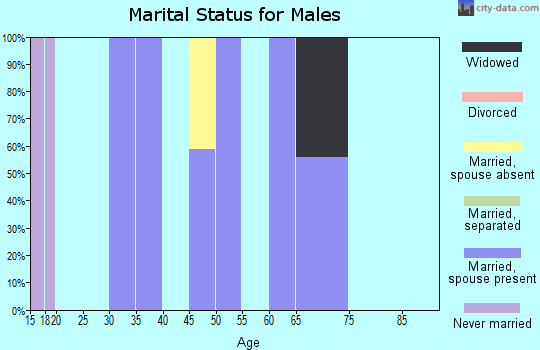 Zip code 98836 marital status for males