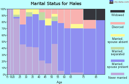Zip code 98840 marital status for males