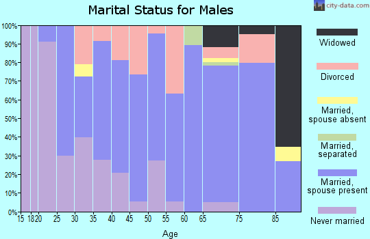 Zip code 98841 marital status for males