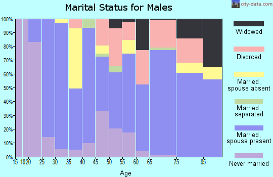 Zip code 98855 marital status for males