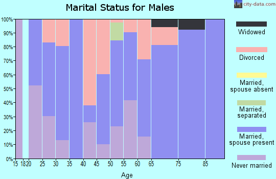 Zip code 98856 marital status for males
