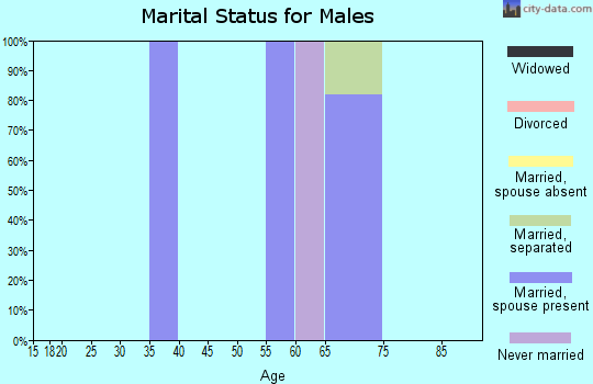 Zip code 98859 marital status for males