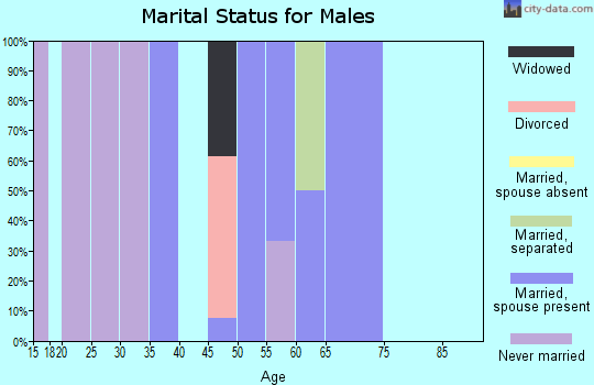 Zip code 98860 marital status for males