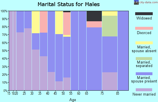 Zip code 98933 marital status for males