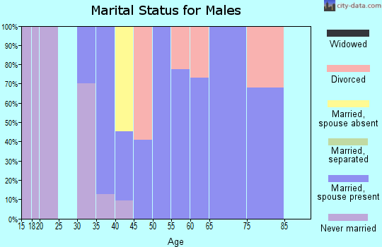 Zip code 98938 marital status for males