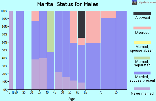 Zip code 98941 marital status for males