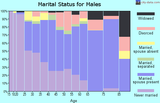 Zip code 98951 marital status for males