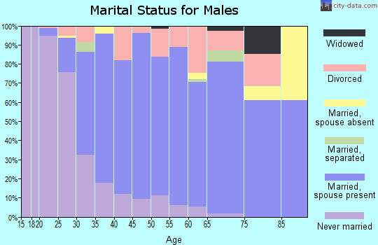 Zip code 99004 marital status for males