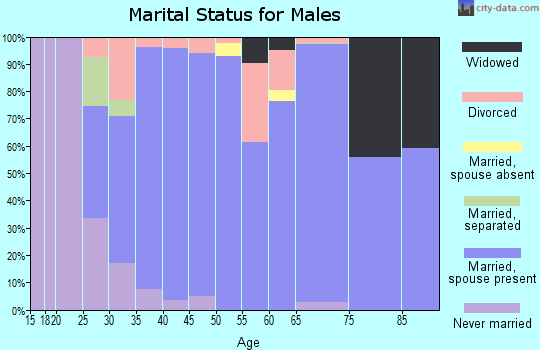 Zip code 99005 marital status for males
