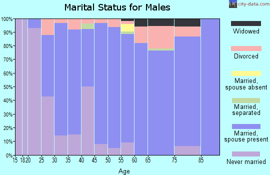 Zip code 99006 marital status for males